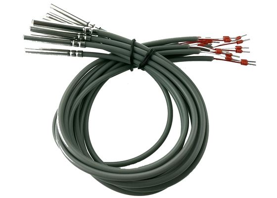 Sensore di temperatura di resistenza del platino della classe B PT100 di RTD micro una lunghezza dei 2 tester con l'alloggio dell'acciaio inossidabile 304 di 6x50mm